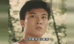 电视剧霍东阁,权谋风云，一代枭雄的传奇人生