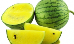 蛋哥吃瓜爆料图片大全,揭秘娱乐圈幕后真相，图片大全大揭秘