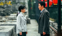 我的小姨电视剧,温情演绎亲情与成长的故事